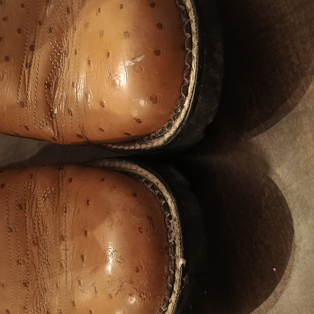 LAST CHANCE Ariat Ostrich Fatbaby Boots - Picture 7 of 7